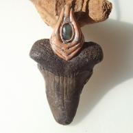 サメ歯化石ネックレス