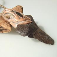 サメ歯化石ネックレス