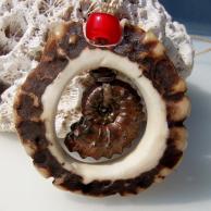 アンモナイト化石と鹿角のハンドメイドネックレス・正面