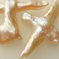 淡水パール