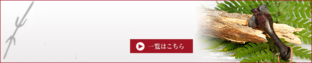 その他・隕石アクセサリー